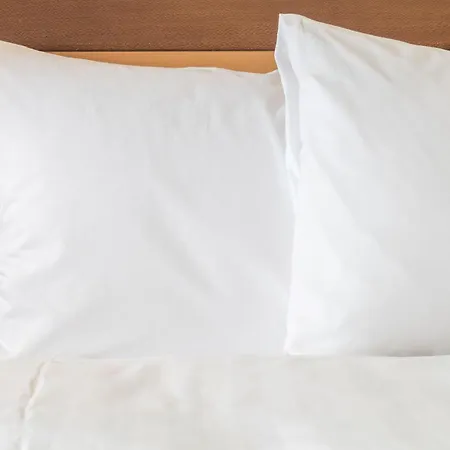 Holiday Inn Plovdiv By Ihg 4*